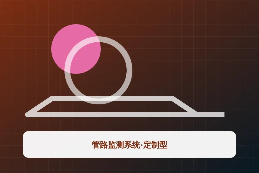 管路监测系统·定制型应用示意图